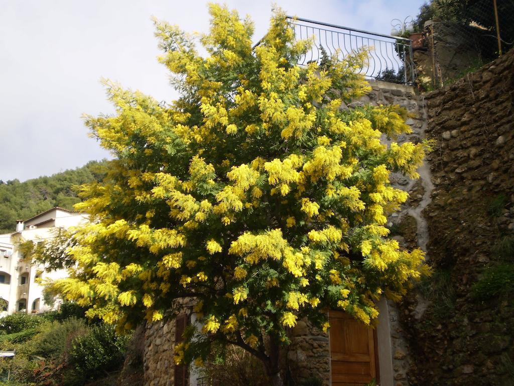 Detox Inn Roquebrune-Cap-Martin Exterior photo